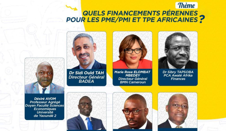 L’INSTITUT DU FAGACE ORGANISE UN WEBINAIRE GRATUIT SUR LE THEME : QUELS FINANCEMENTS PERENNES POUR LES PME/PMI ET TPE AFRICAINES ?»